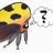 Ask An Entomologist [BugQuestions]